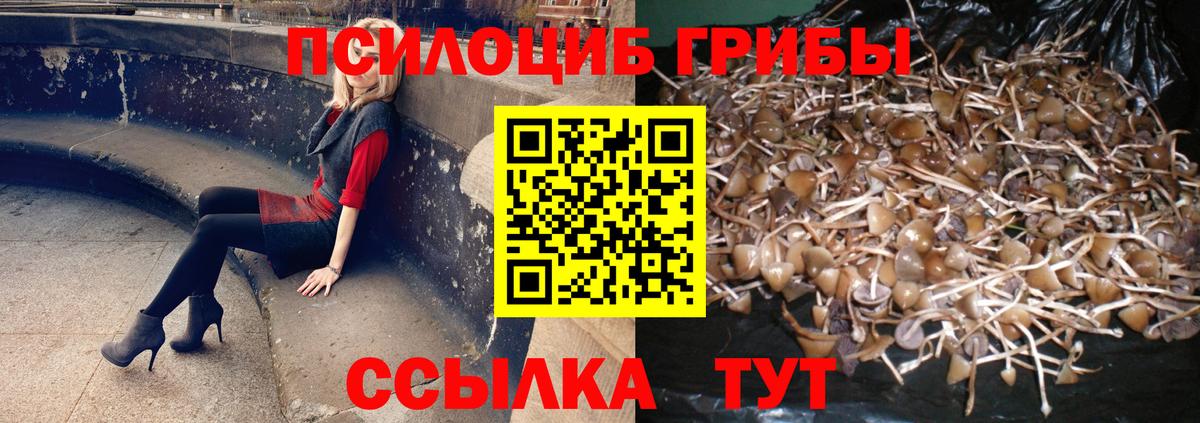 Псилоцибиновые грибы GOLDEN TEACHER Озёрск